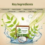 Neel Ayurvedics Neem Soap